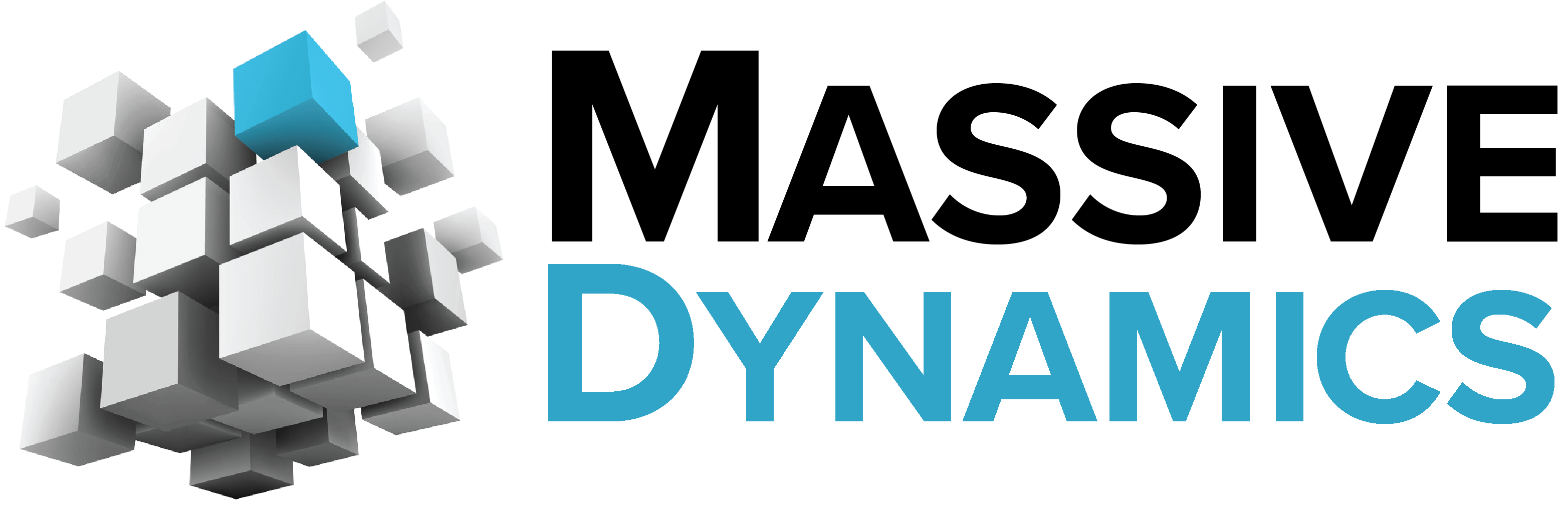 Massive Dynamics Labs | Fractional Executive Support & Performance ...